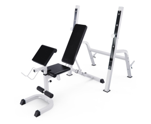 Скамья со стойками под штангу DFC GORILLA белая, с партой для бицепса